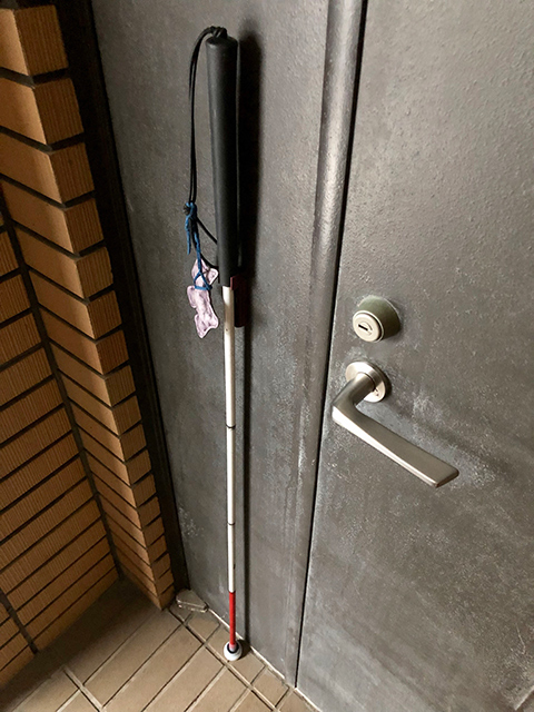 �ʐ^2-1�F�����̔��Ɏ��΂ł������Ă���l�q�B