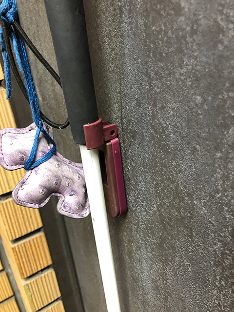 �ʐ^2-2�F�����̔��Ɏ��΂ł������Ă���l�q�̊g��ʐ^�B