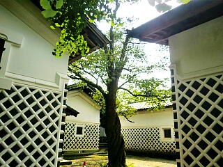 �n糓@�̓y���̎ʐ^