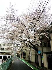 �ߏ��̍��̎ʐ^�Q