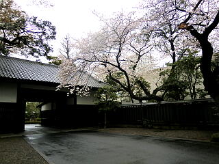 ���F���̍��̎ʐ^�P