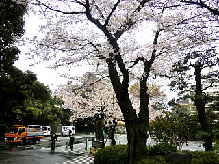 ���F���̍��̎ʐ^�Q