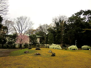 �ǂ񂮂莙���V���̍��̎ʐ^�P