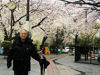 ���������V�ł̎ʐ^