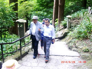 �K�i������Ă���ʐ^