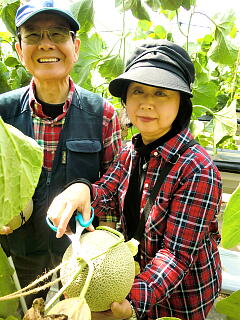 ���������̎ʐ^