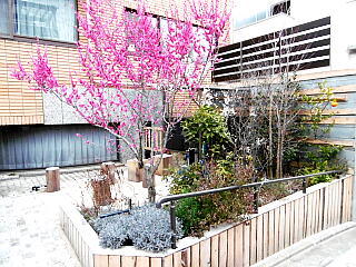 �⓹���猩���~�̎ʐ^