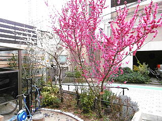 �납�猩���~�̎ʐ^