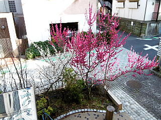 �ォ�猩���~�̎ʐ^