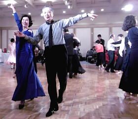 �{�c�v�Ȃ̎ʐ^